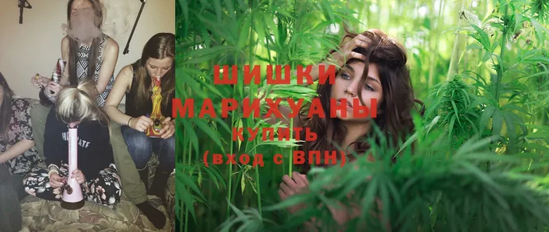 Бошки марихуана SATIVA & INDICA  Артёмовский 